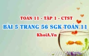 Bài 5 trang 56 SGK Toán 11 Tập 1 Chân trời sáng tạo